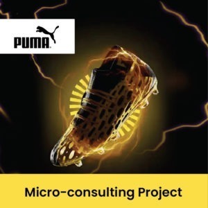 Micro Consulting Project with Puma Clever Harvey JuniorMBA reviews
