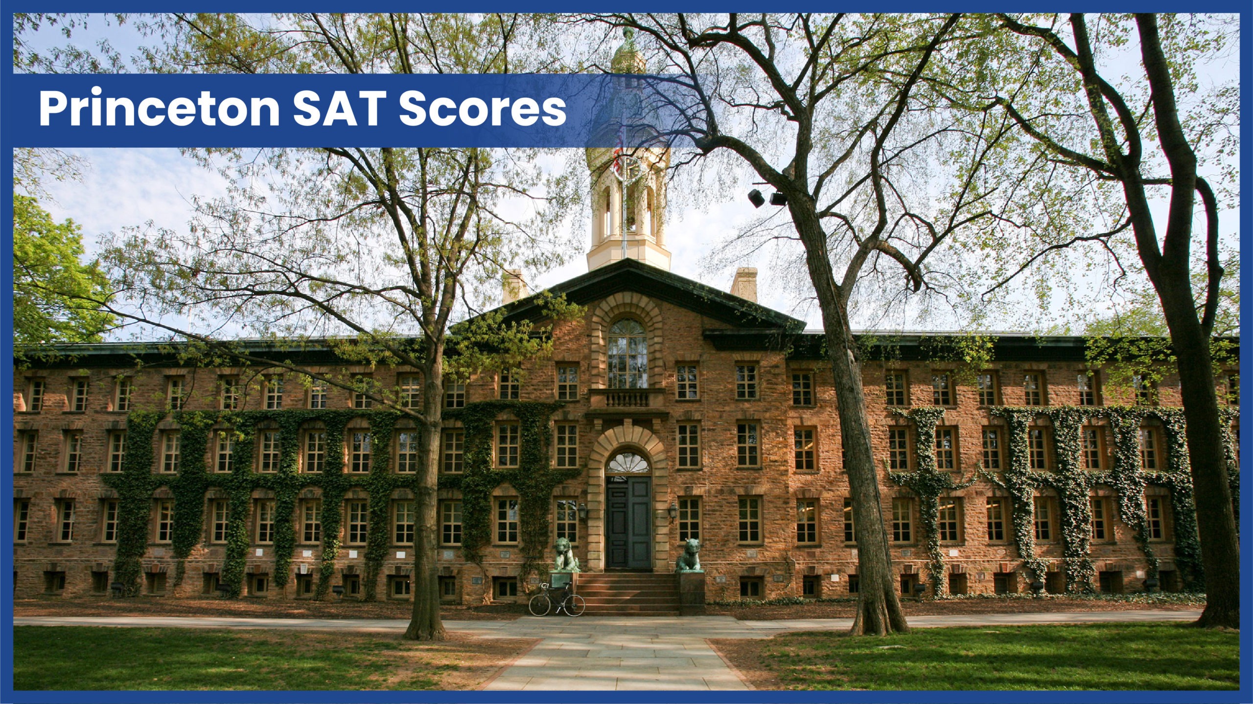 Princeton SAT Scores 2022 Application Process Clever Harvey